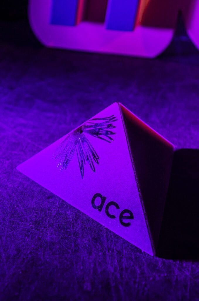 ACE Awards 2018_0040 ACE Awards 2018 0040 scaled e1725137066992