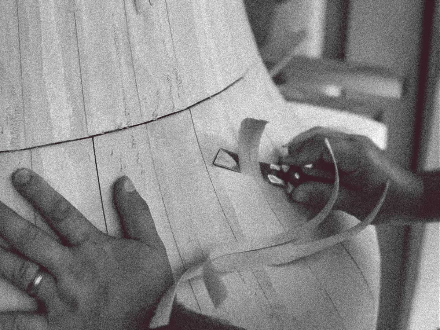 Senators Sculpting Bell Shape