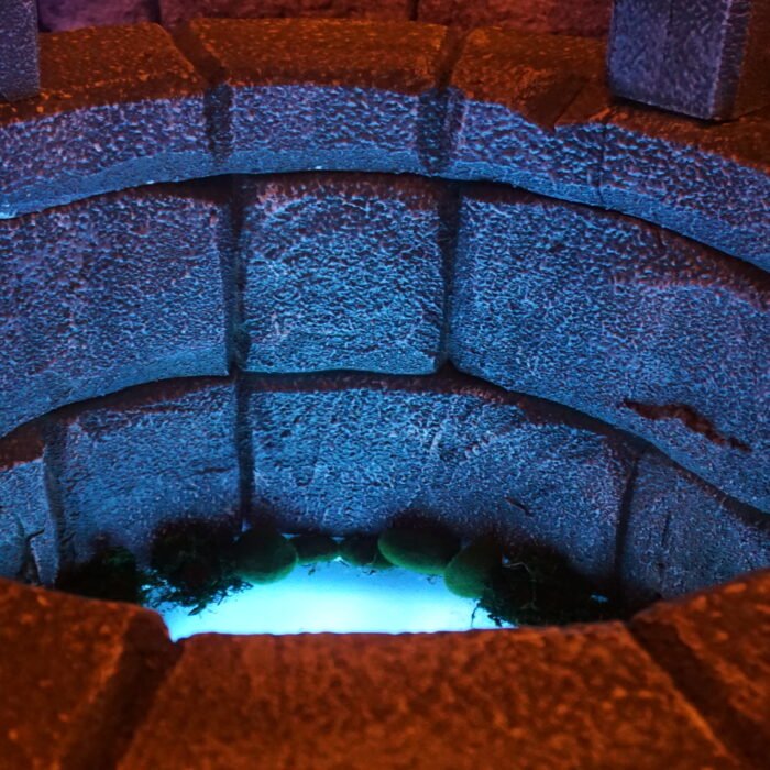 DSC03492 - The Bees Knees Design Rounded stone stair-step wall lit by blue and purple lighting in a dark cavern-like setting, with green plants at the bottom edge